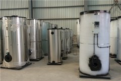 12吨冷凝燃油乐投（中国）
