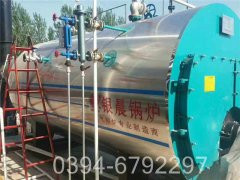 15吨蒸汽燃煤乐投（中国）