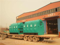 2吨燃气乐投（中国）参数