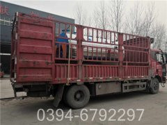 dzl型燃煤热水乐投（中国）