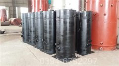20吨低氮冷凝蒸汽乐投（中国）