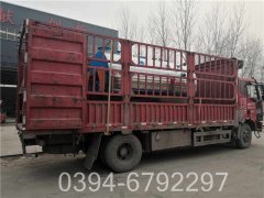3吨燃气乐投（中国）价格查询