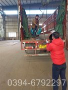 5吨燃气热水IM（中国）