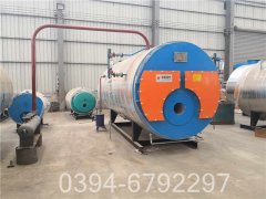 20吨燃煤热水IM（中国）