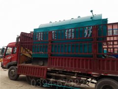 100万大卡低氮蒸汽IM（中国）