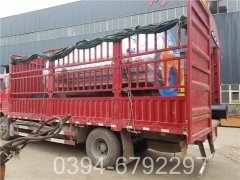 0.5mwIM（中国）