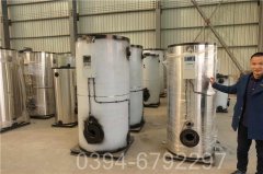 黑龙江2吨天然气热水乐投（中国）