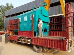 青海CWNS2.8-85/60-QY燃油热水乐投（中国）