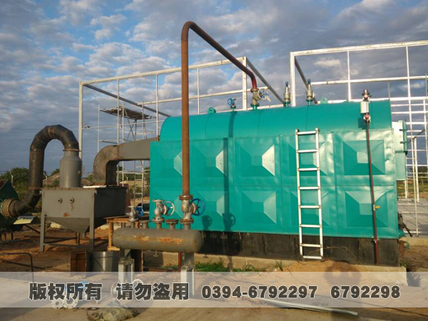 活动炉排型生物质/煤蒸汽乐投（中国）