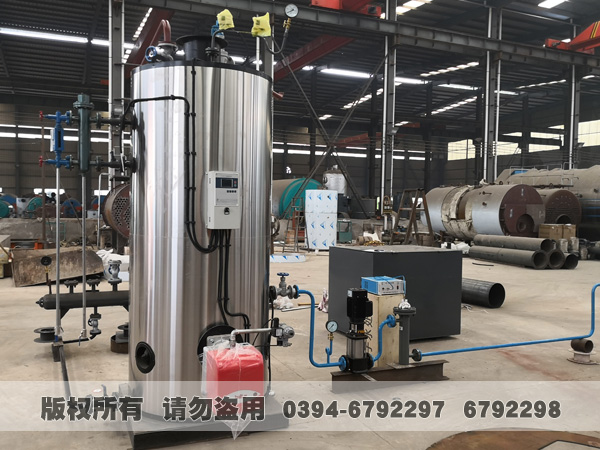 立式燃油/气蒸汽乐投（中国）