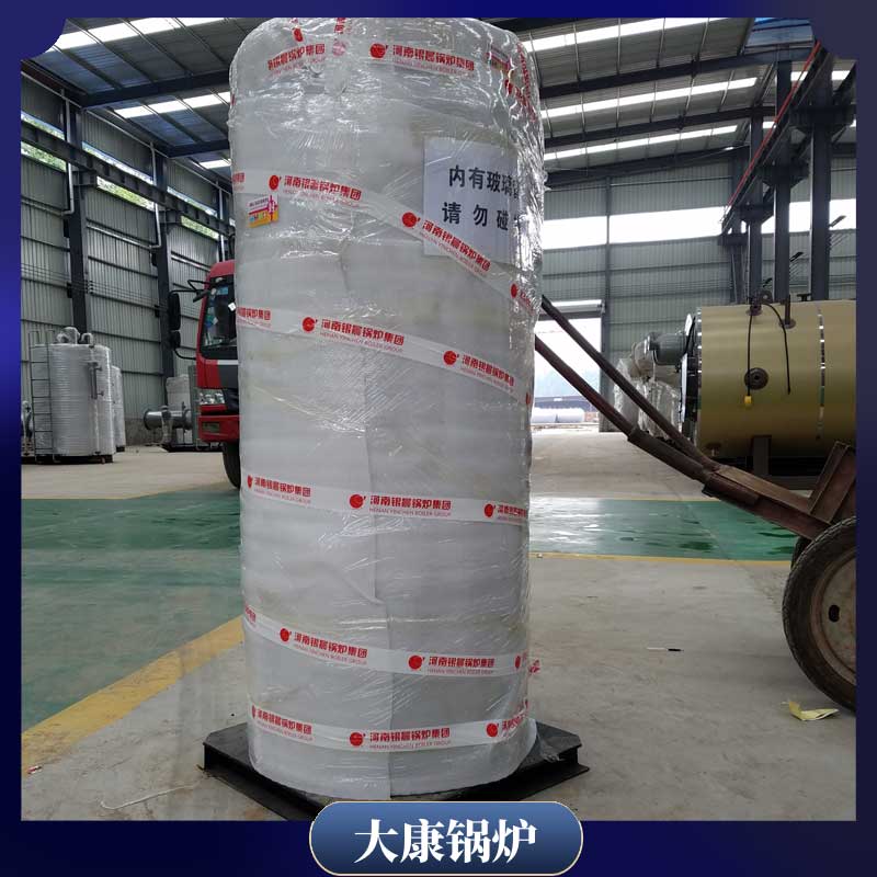 1t燃生物质乐投（中国）