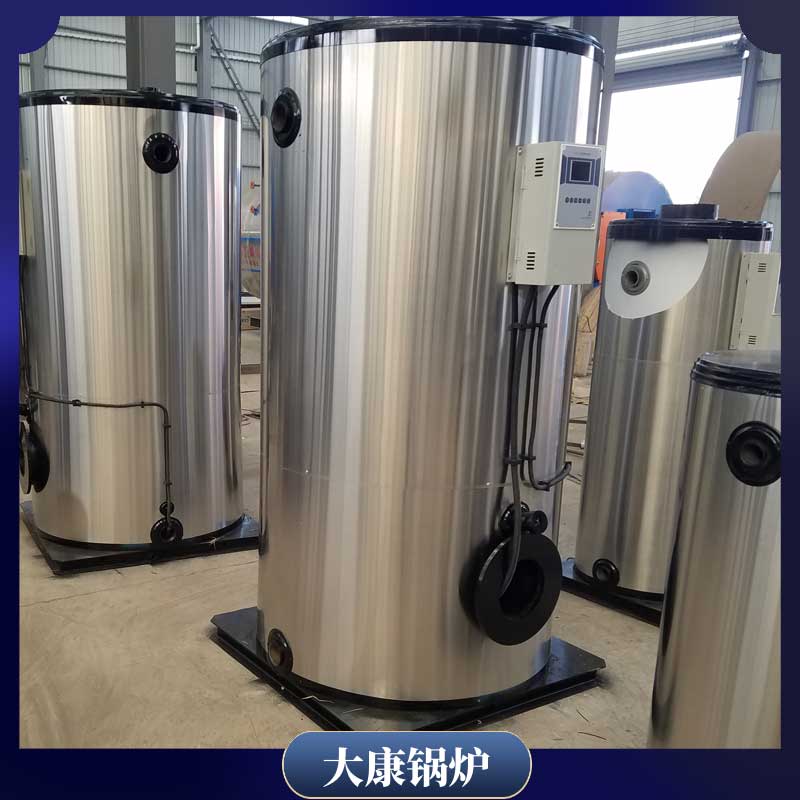 小型生物质热水乐投（中国）厂家