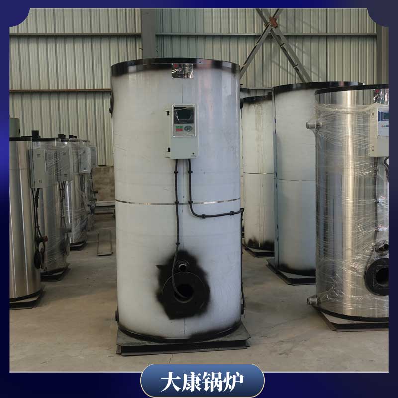 燃生物质乐投（中国）多少钱