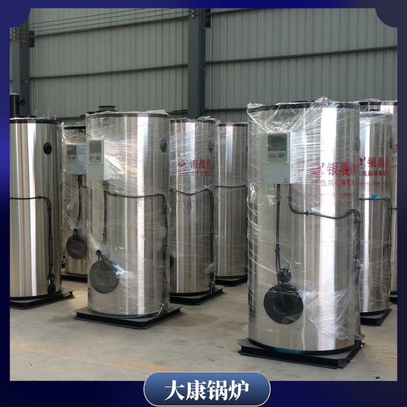 生物质4吨乐投（中国）