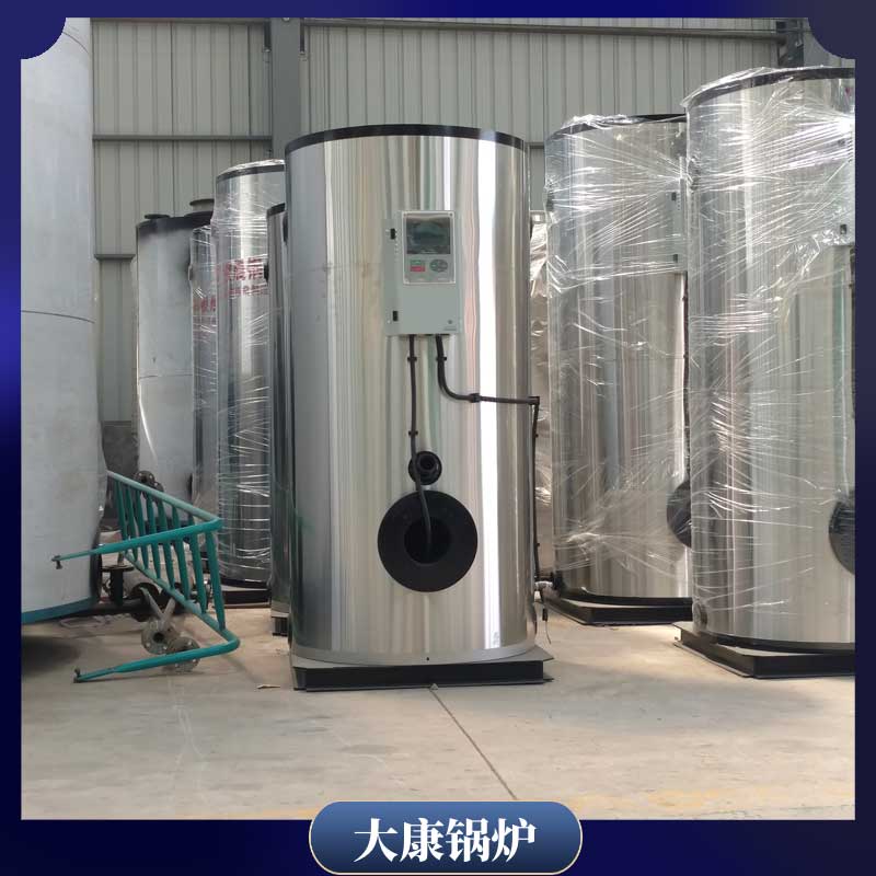 直燃式生物质乐投（中国）