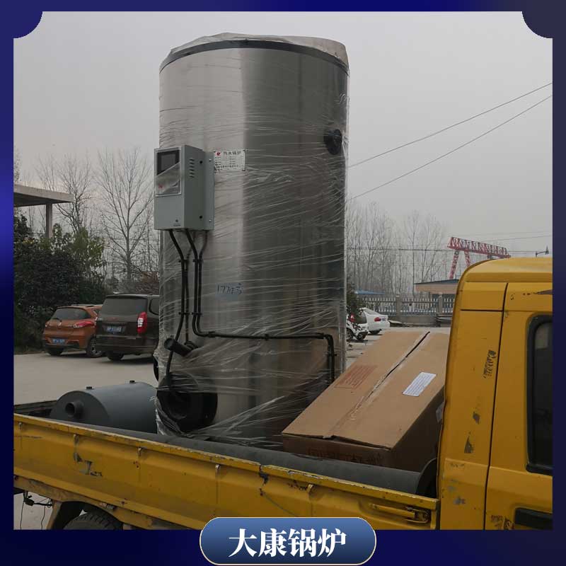 专用生物质热水乐投（中国）