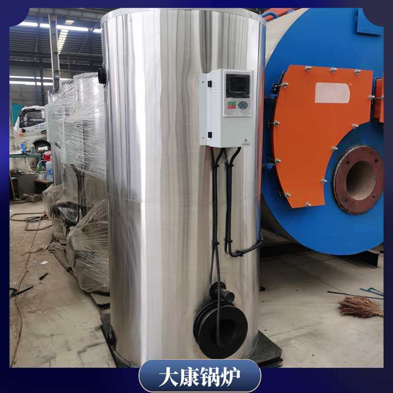 生物质乐投（中国）导热油炉