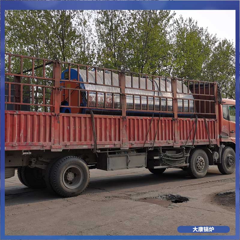 两用两吨生物质乐投（中国）