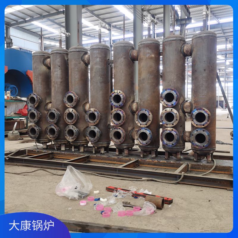 3吨燃生物质乐投（中国）
