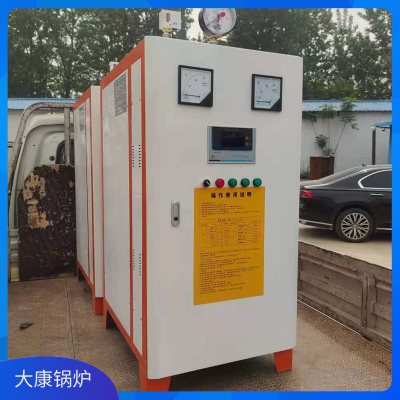 20蒸吨生物质乐投（中国）