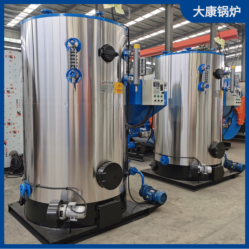 生物质炉乐投（中国）