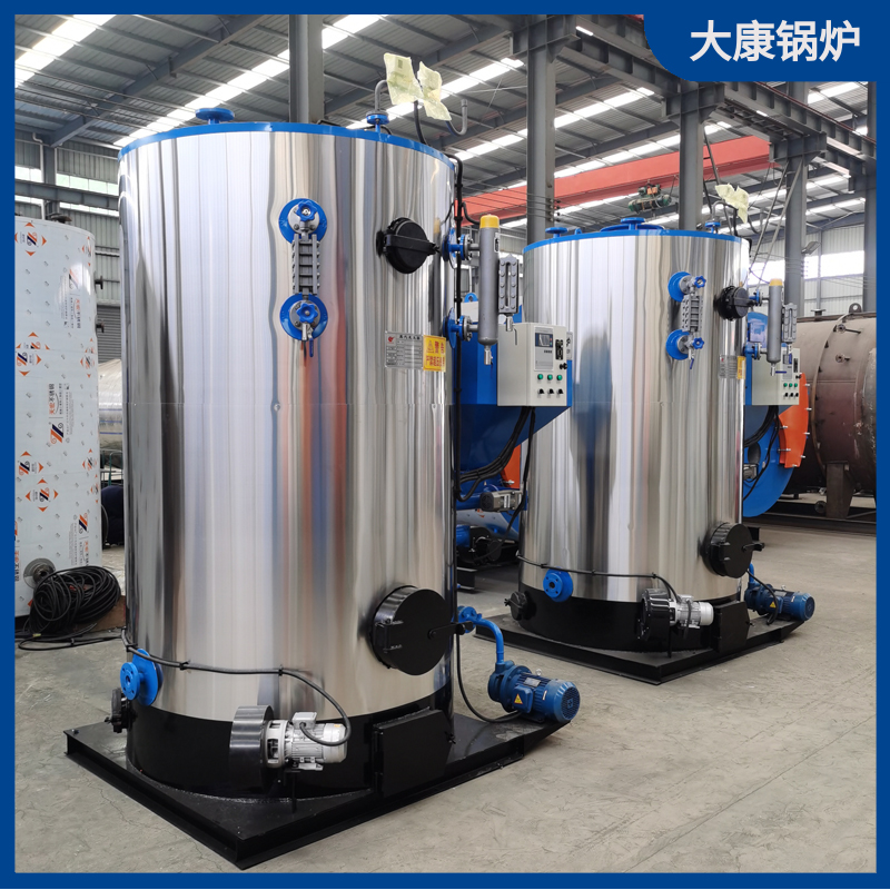 烧生物质乐投（中国）厂家