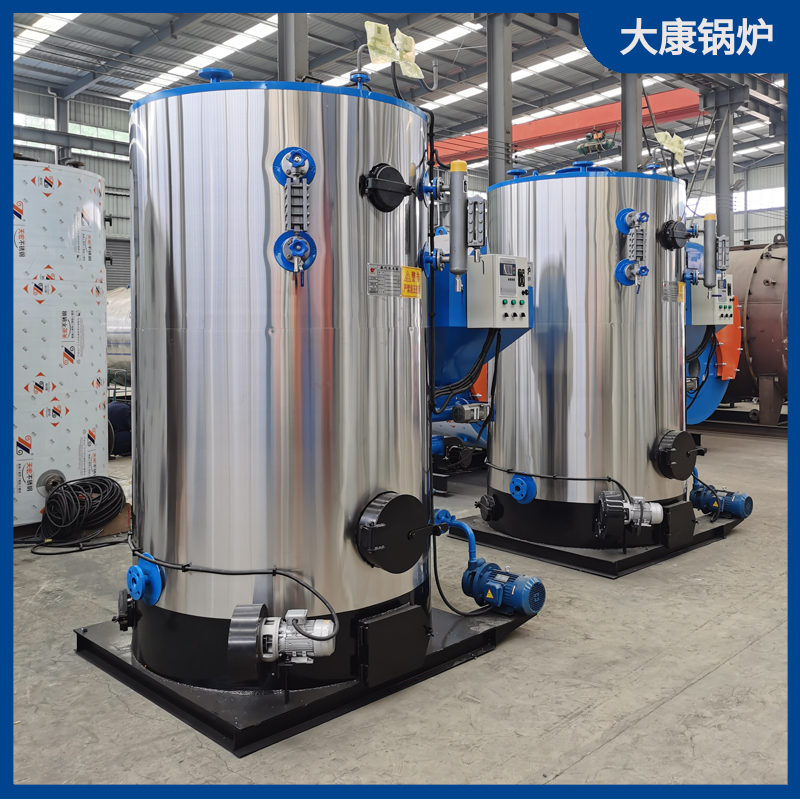 立式生物质蒸汽乐投（中国）1