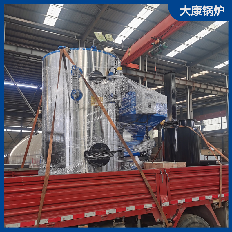 5吨生物质乐投（中国）