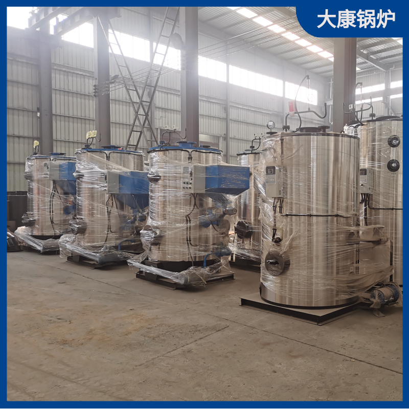 20t生物质乐投（中国）
