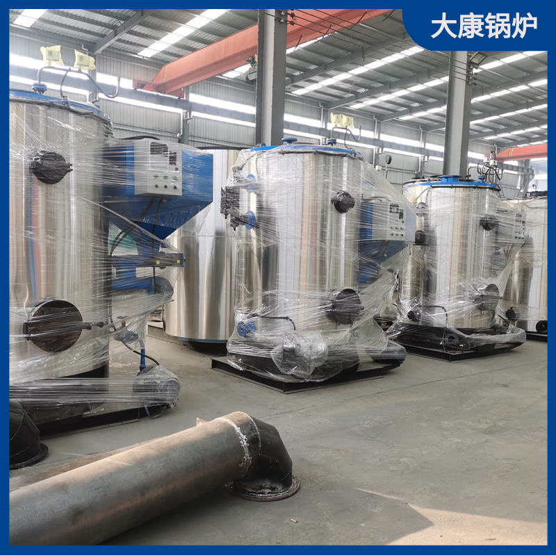 8t生物质蒸汽乐投（中国）