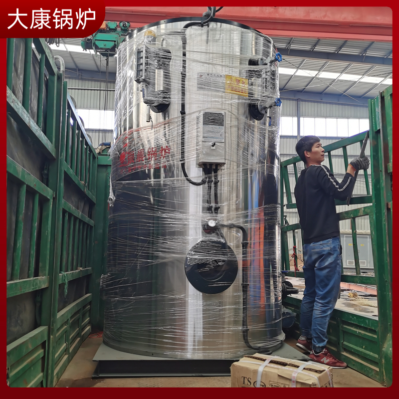 生物质2吨乐投（中国）
