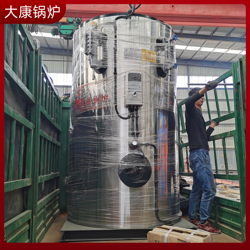 10蒸吨生物质蒸汽乐投（中国）