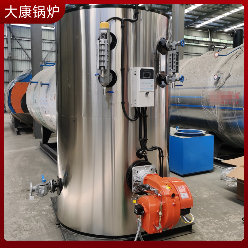 生物质乐投（中国）导热油炉