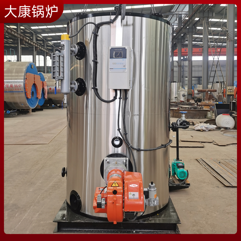 生物质乐投（中国）除尘