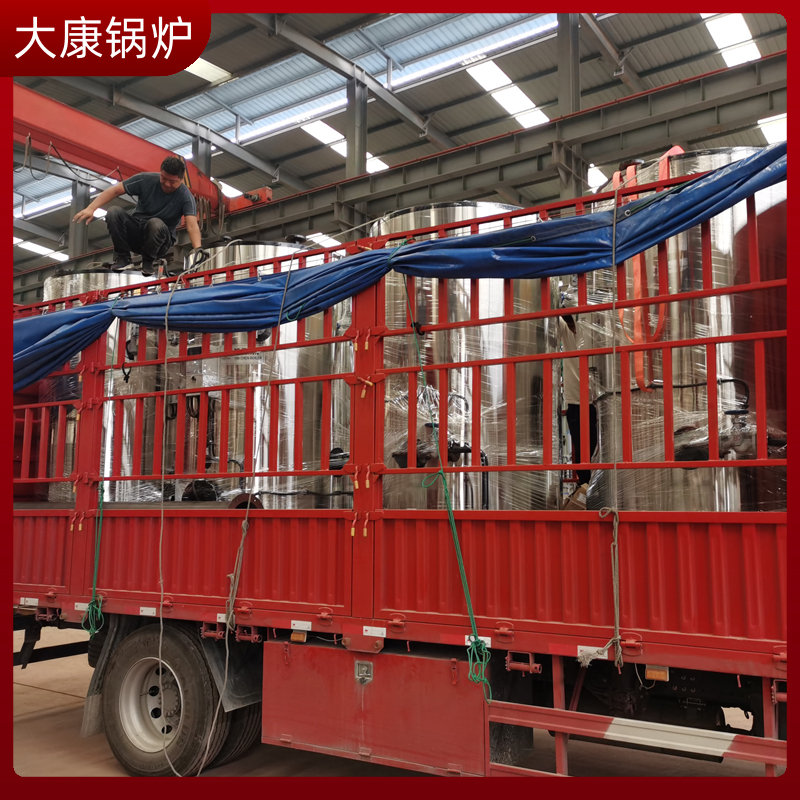 乐投（中国）生物质蒸汽