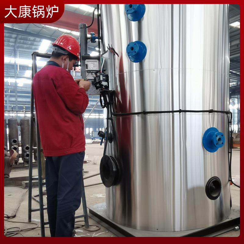生物质颗粒供暖乐投（中国）