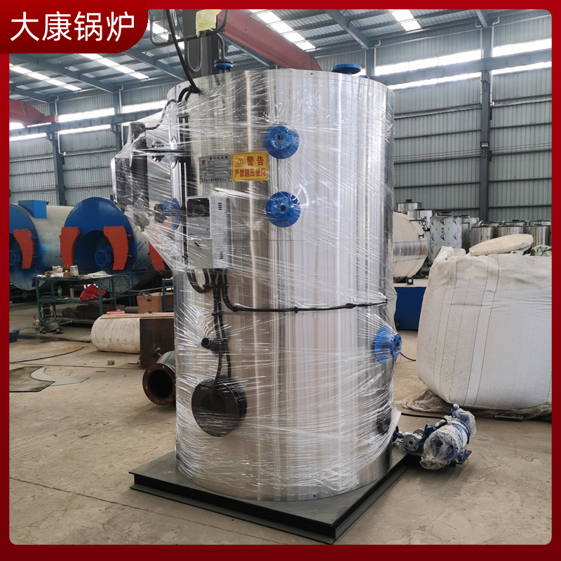 6t生物质燃料乐投（中国）