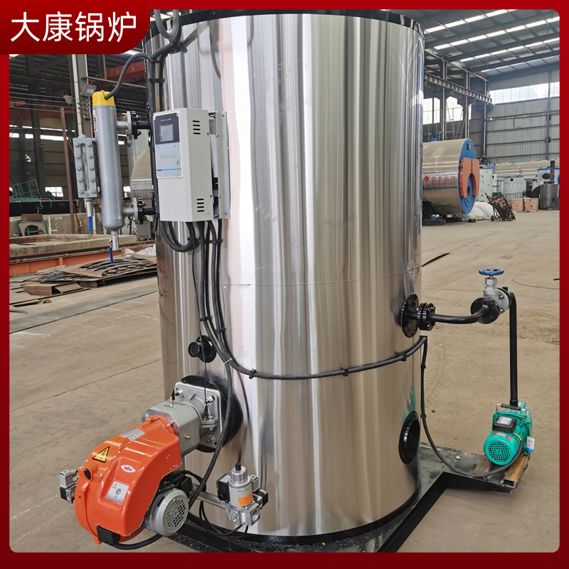 6吨的生物质乐投（中国）