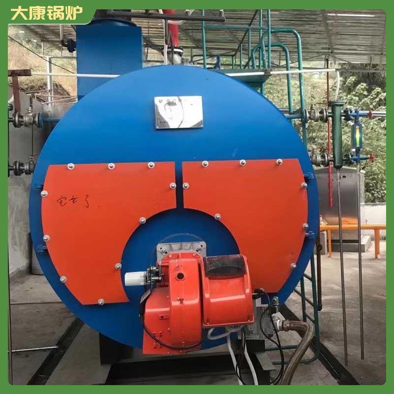 1吨低氮冷凝蒸汽乐投（中国）