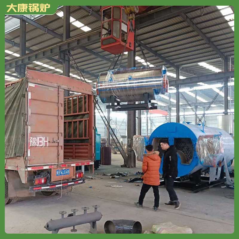 10t生物质蒸汽乐投（中国）