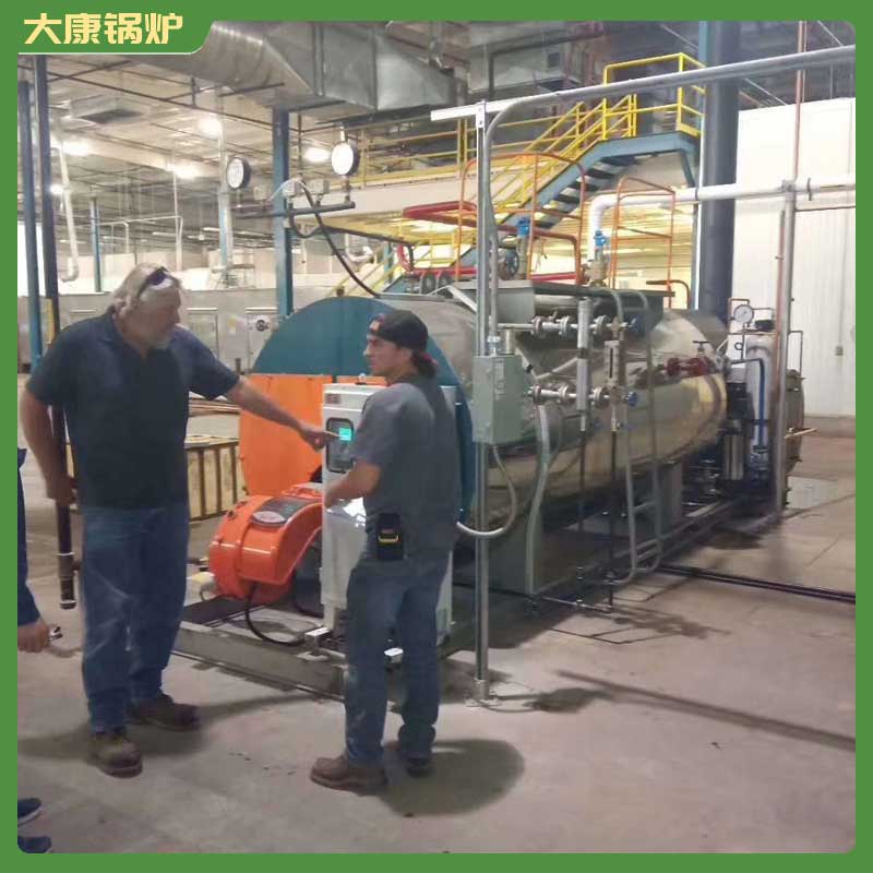 生物质蒸汽乐投（中国）价格