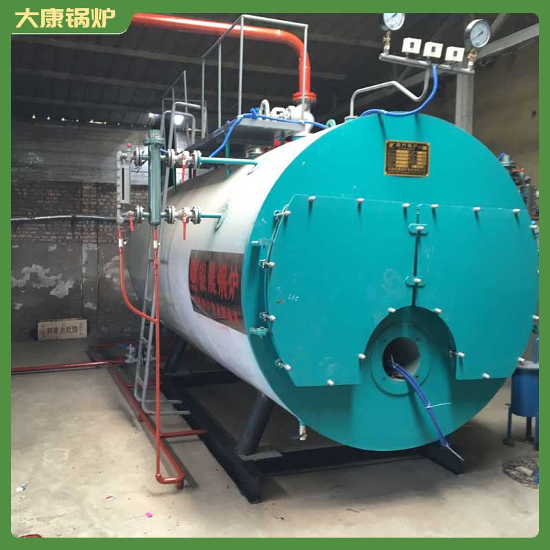 一t燃生物质乐投（中国）