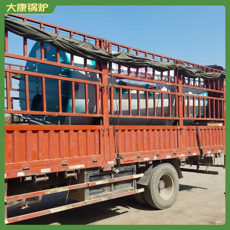 十吨生物质乐投（中国）