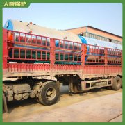 宁夏2t低氮乐投（中国）