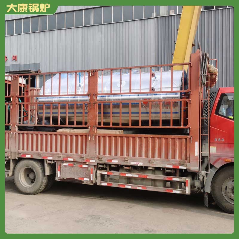 3吨燃生物质乐投（中国）