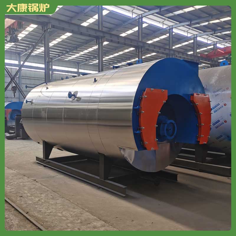 6t生物质燃料乐投（中国）