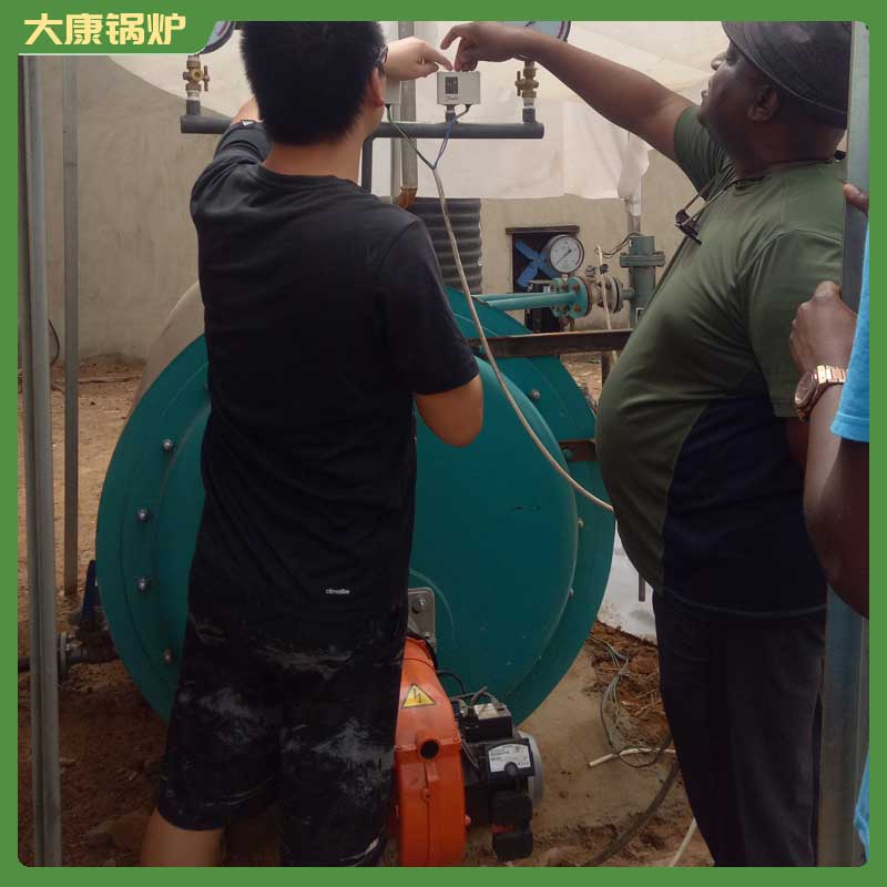四吨生物质蒸汽乐投（中国）