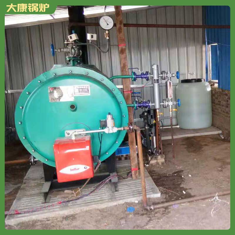 4吨燃气蒸汽乐投（中国）
