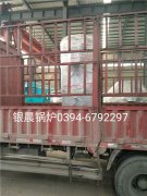 10万大卡燃气热水乐投（中国）发货