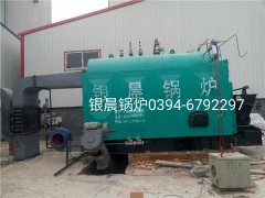 DZL2-1.25-T型2吨生物质蒸汽乐投（中国）安装现场